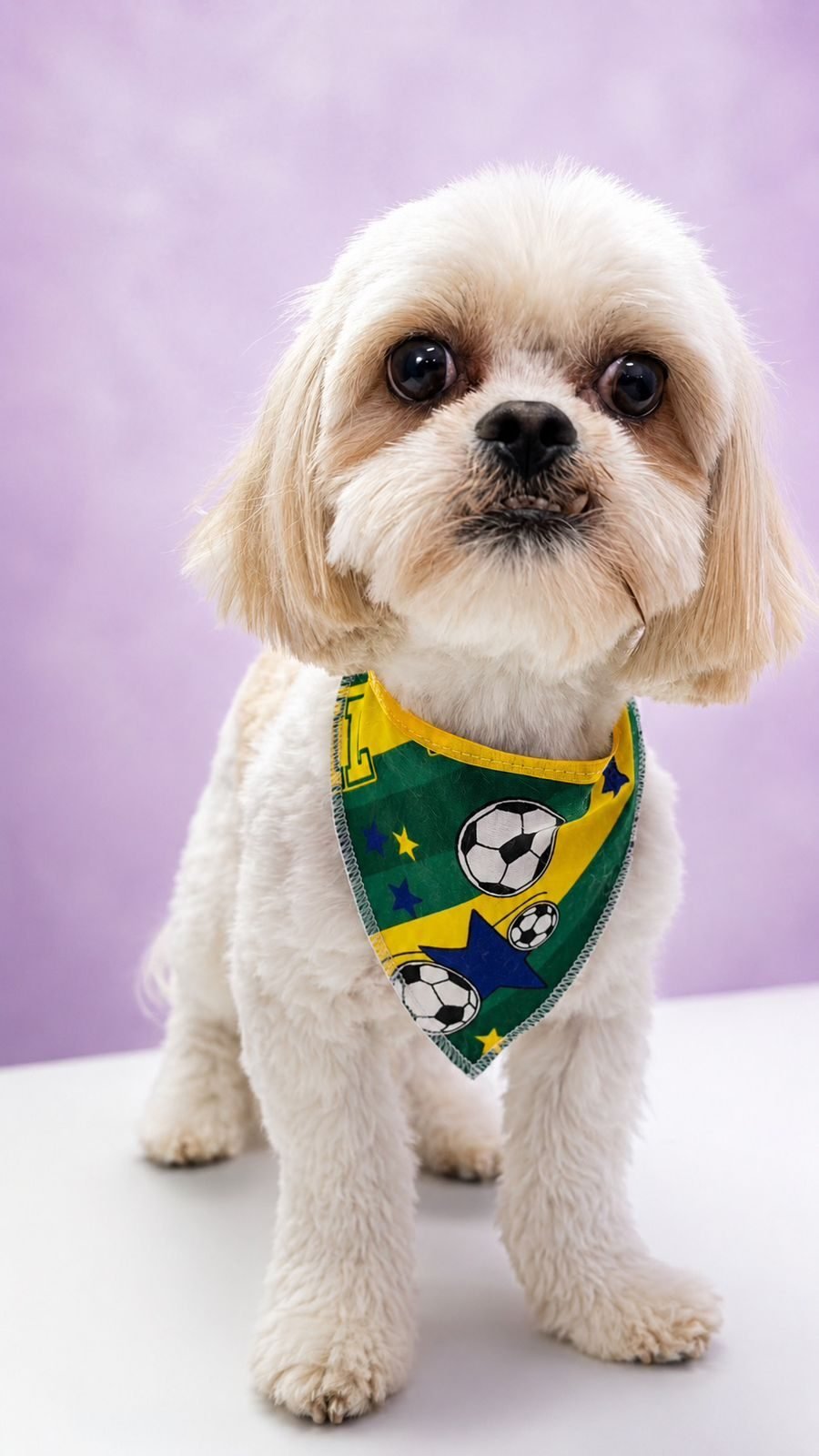 Pet com bandana verde